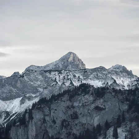 Boutiquehotel Blaue Burg מלון