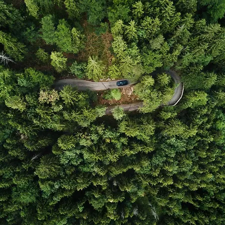 Boutiquehotel Blaue Burg *